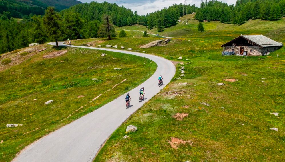 Alpenfahrt MoosalpRekord auf der Moosalp: Über 1000 Velofahrer bei der Alpenfahrt