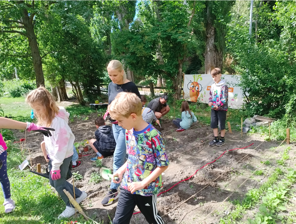 Gemüse wächst nicht sofort – Kinder lernen, auf Ergebnisse hinzuarbeiten.