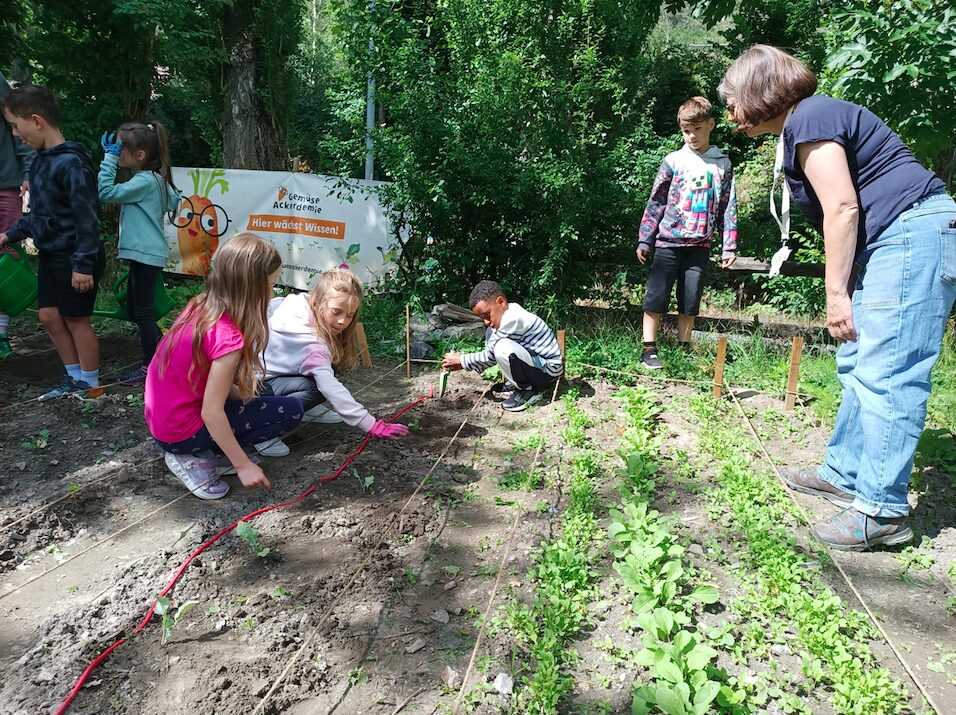Praktische Ernährungsbildung
