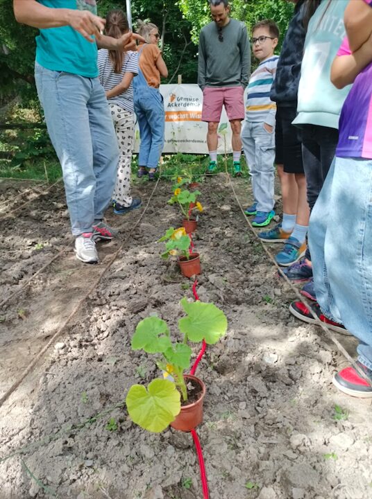 Praktisches Lernen: Gartenarbeit spricht viele Sinne an und bietet eine willkommene Ergänzung zum Lernen im Klassenzimmer.