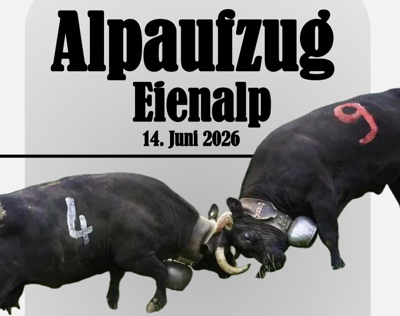 Saas-Almagell: Alpaufzug auf die EyenalpAlpaufzug und traditionelle Kuhkämpfe in Zermeiggern