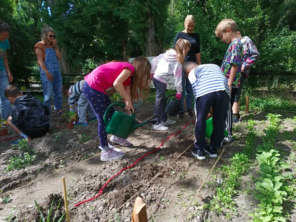 Einbunden in den Gemüseanbau: Dies erhöht auch die Wertschätzung für das, was die Natur bietet.