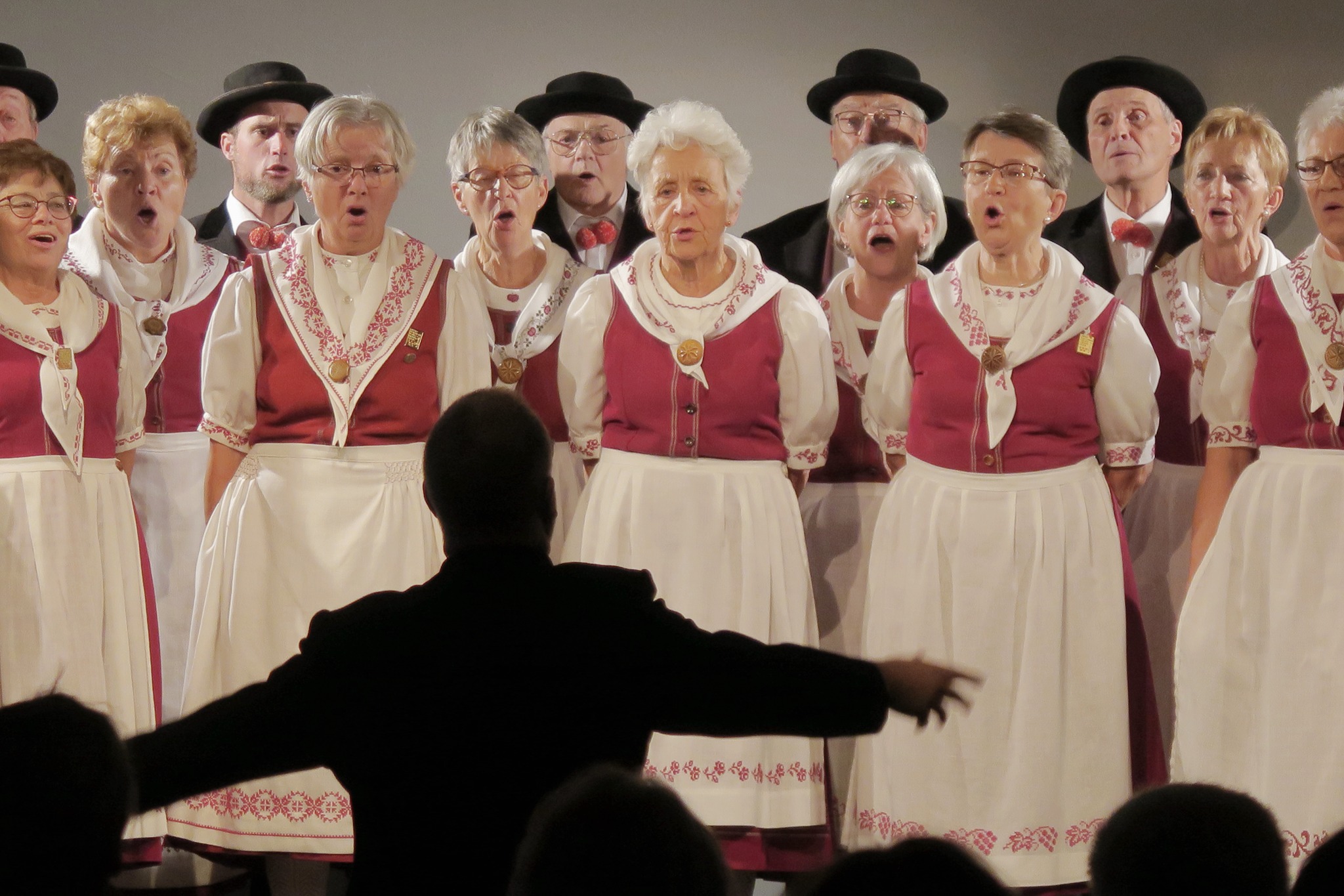 Festival Forum Wallis mit dem Oberwalliser VolksliederchorMusikalische Brücken — Walliser Volkslieder und bolivianische Folklore