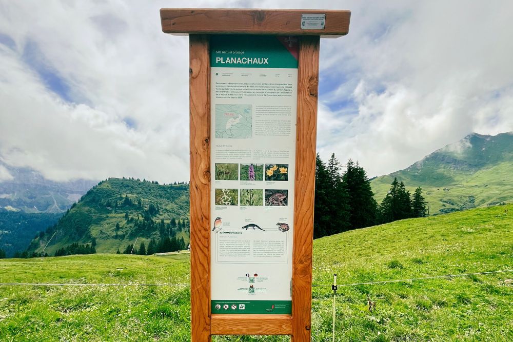 Aufwertung der NaturschutzgebieteKanton Wallis will Naturschutzzonen aufwerten