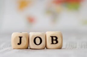Jobs_vignette 2 kt. vs
