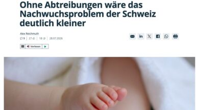 Nebelspalter