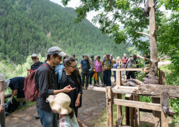 Kunst in der Twingischlucht: Jubiläumsausstellung lädt zu Führungen mit der Kuratorin ein20-Jahr-Jubiläum des Kunstkollektivs