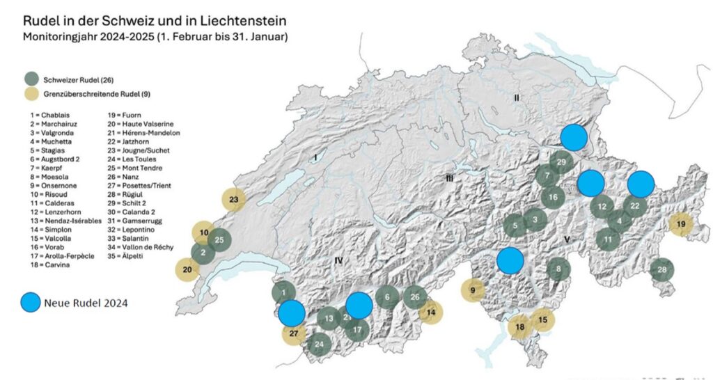 Wolfsrudel im Wallis und der Schweiz (Karte DLW)