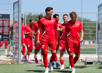 FC Sion
